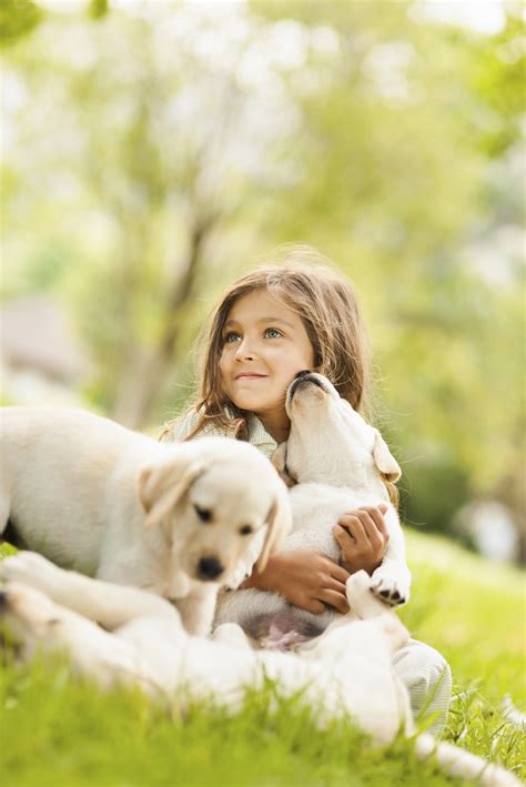 Top 10 Reasons Why You Should Get Your Child A Dog