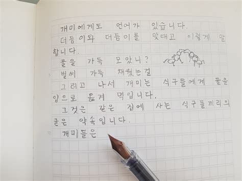 Korean Manuscript Paper Simple Korean Language Hangul Study A4 Etsy