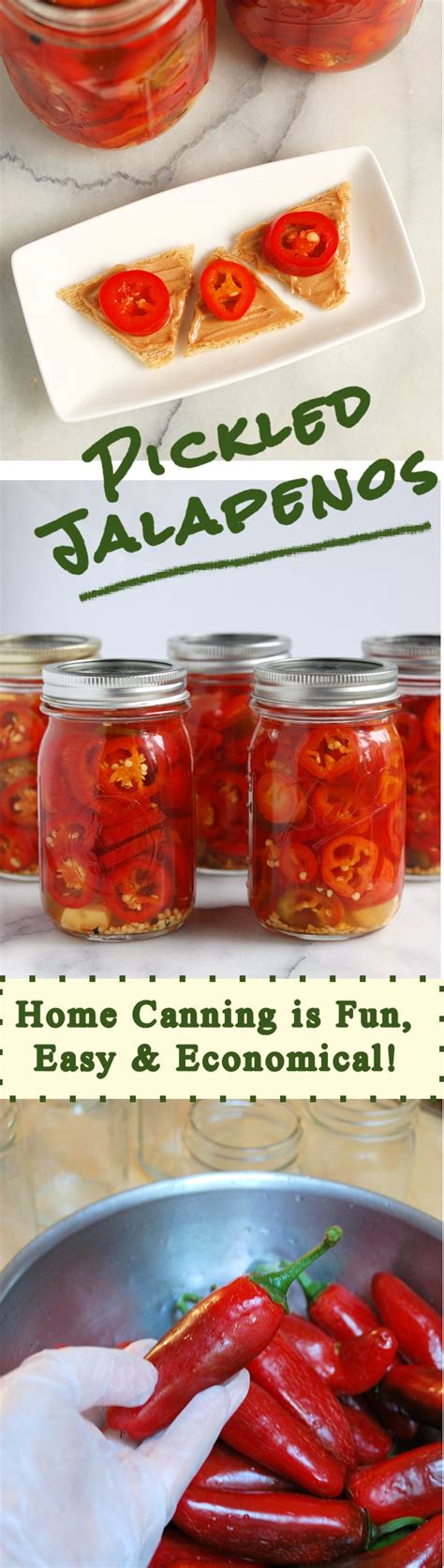 Pickled Jalapeno Peppers Home Canning Baking Sense