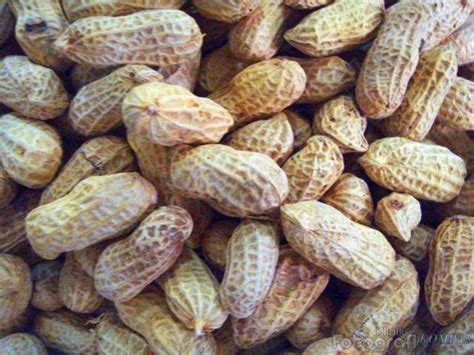 Jangan lupa rendam kacang hijau. Hendra Baik Hati: Manfaat Kacang Kulit