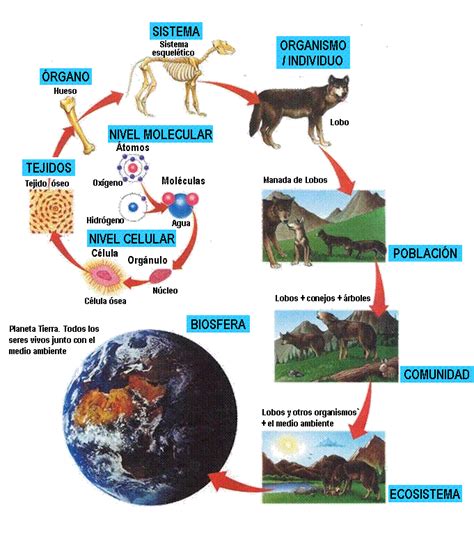 Mundo Del Aprendizaje BiologÍa