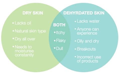 What Is The Difference Between Dry And Dehydrated Skin