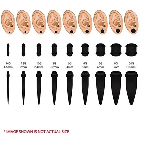 Gauge Sizes Ears Ubicaciondepersonascdmxgobmx