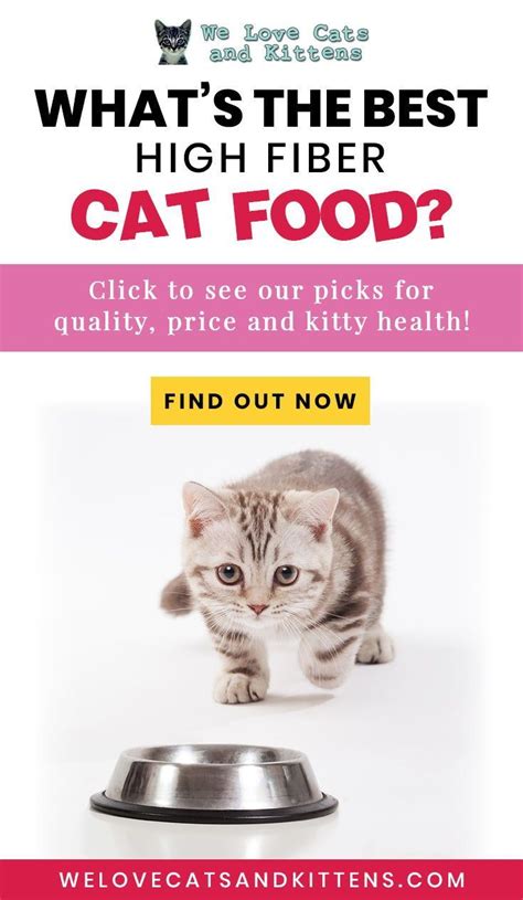High Fiber Cat Food Brands Cat Meme Stock Pictures And Photos