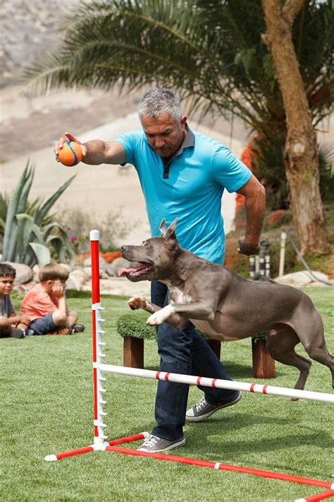 View julio cesar millan's genealogy family tree on geni, with over 200 million profiles of ancestors and living relatives. Training session with Junior and Cesar Millan on EasyTurf ...