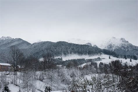 Winter Landscape Mountain Village In The Branromanian Carpathians