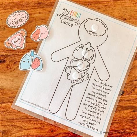 Preschool My First Anatomy Printable Body Preschool Preschool