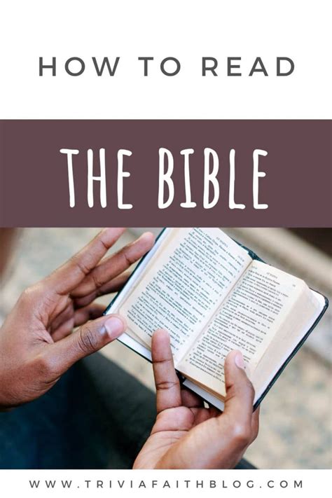 13 How To Study The Bible Effectively For Beginners