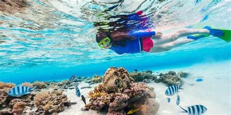 Best Snorkeling Grand Cayman 2023 Best Destinations Top Rated