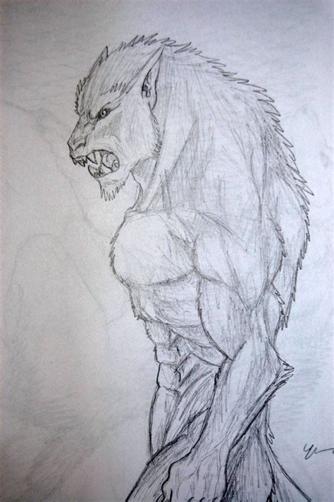 My Werewolf Drawing Werewolf Drawing Werewolf Art Dark Art Drawings