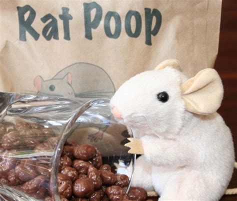 Dating someone that looks like us may ensure that their genes are generally compatible with our own. Rat Poop In Your House: 7 Steps to Remove It Without Risks