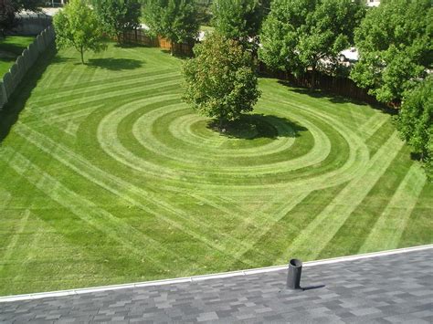 The Top Reasons Why Lawn Care Businesses Fail Hubpages