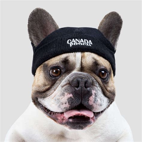 Basic Dog Beanie Hat With Ear Holes Canada Pooch