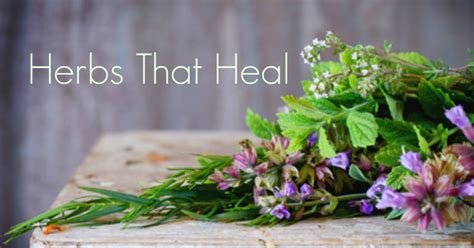 5 Ways Herbs Can Heal Your Body Eat Lose Gain