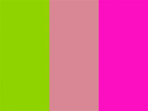 Free Download Sheen Green Shimmering Blush And Shocking Pink Three