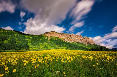 Crested Butte Co Wildflowers In July By Ryan C Wright 2048x1365