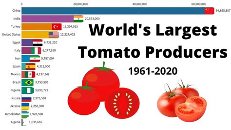 Worlds Largest Tomato Producers 1961 2020 Youtube