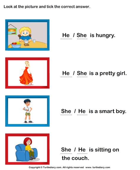 She And He Turtle Diary Worksheet