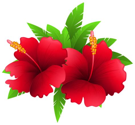 Exotic Flower Clip Art Clipground