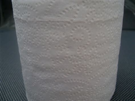 Customized Embossed Toilet Tissue Paper Roll