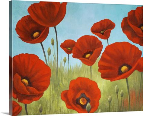 Field Of Poppies Ii Wall Art Canvas Prints Framed Prints Wall Peels