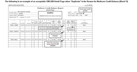 How To Complete Cms 838 Credit Balance Reports Cms 1500