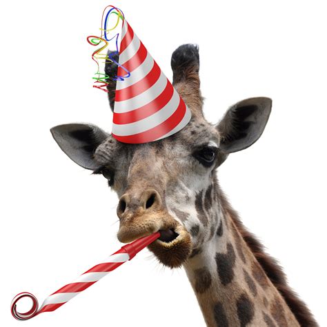 Резултат с изображение за Party Animal Giraffe Party Happy Birthday