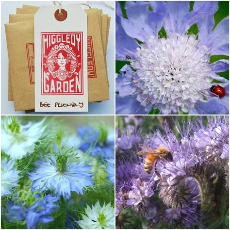 Bee And Butterfly Friendly Seed Collection Flower Seeds Bee Flower