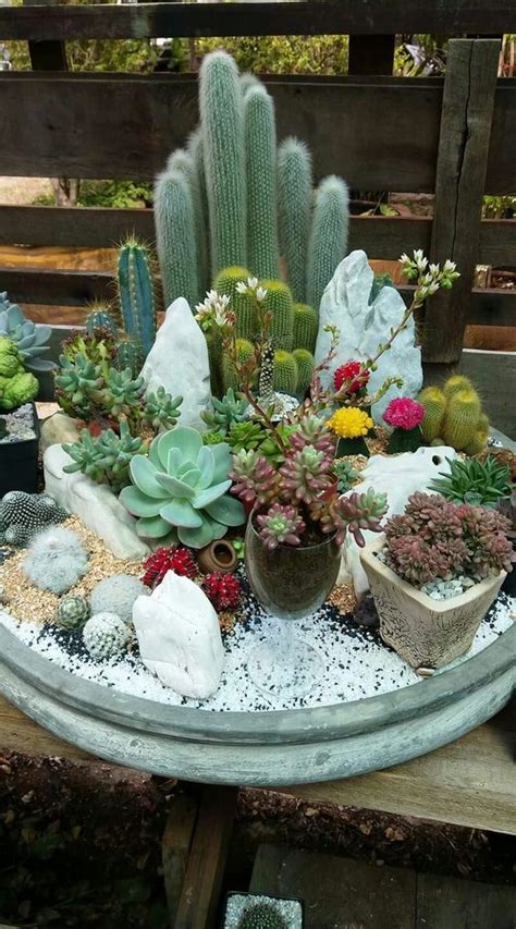 How To Decorating Cactus In A Pot Bloggardencafexbiz310