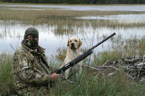Duck Hunting In Canada Home