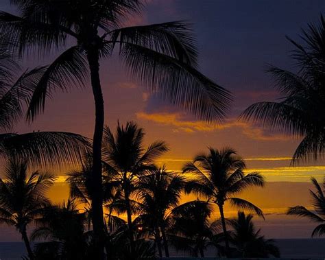 Hawaii sunset.jpg | Hawaiian sunset, Sunset, Sunrise sunset
