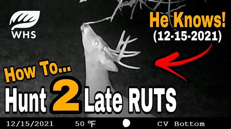 2nd And 3rd Whitetail Rut Hunting Tips Youtube