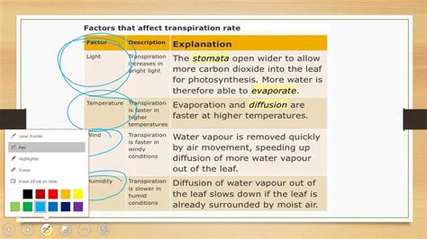 Latihan topikal biologi tingkatan 5 bab 3. Sains Tingkatan 3 - Faktor Mempengaruhi Kadar Transpirasi ...