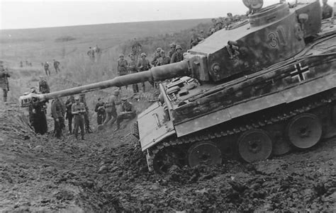 Panzer Vi Tiger Of Schwere Panzer Abteilung 503 Tank Number 311 1943