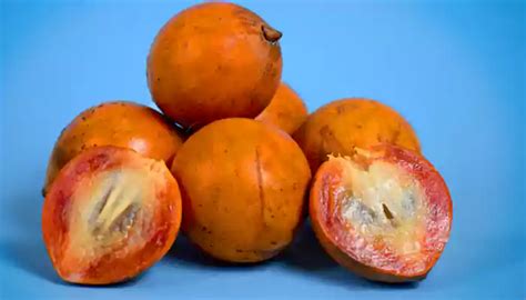 agbalumo african star apple nutrition facts health benefits and more