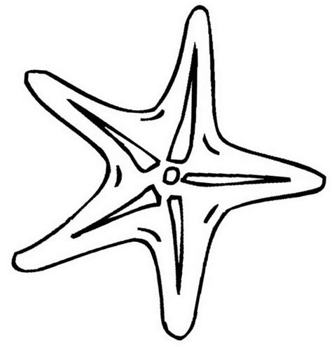 Desenhos De Estrela Do Mar Simples Para Colorir E Imprimir