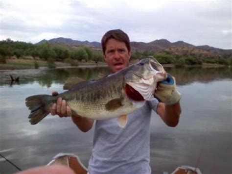 Az One Day Fishing Licenses Are 50 Percent Off