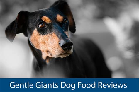 Read This Gentle Giants Dog Food Review Before Buying Herepup