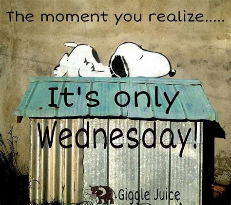 Its Only Wednesday Snoopy Quotes Snoopy Love Funny Day Quotes