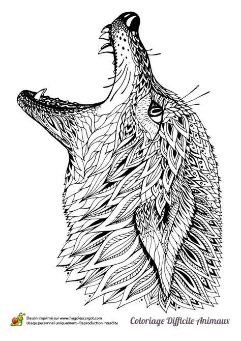 Meilleur Coloriage De Loup Dessin Lesgenissesdanslmais