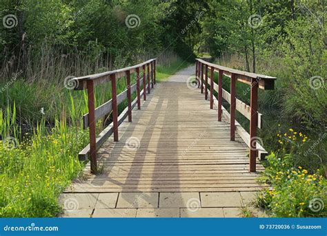 Wooden Bridge Wetlands Stock Photos Download 432 Royalty Free Photos