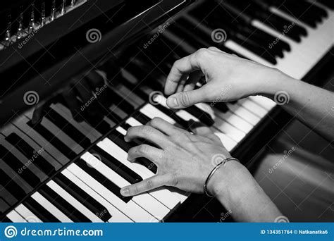 Pianist Hands On The Background Of The Piano Keys Stock Photo Image