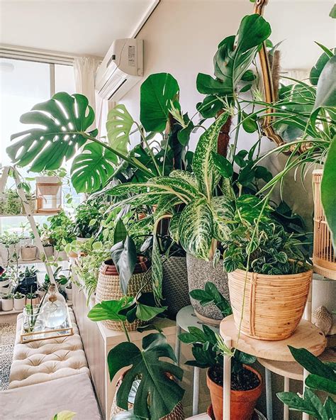 60 Indoor Plants Decor And Plants Shelves Ideas To Brighten Up Your Room