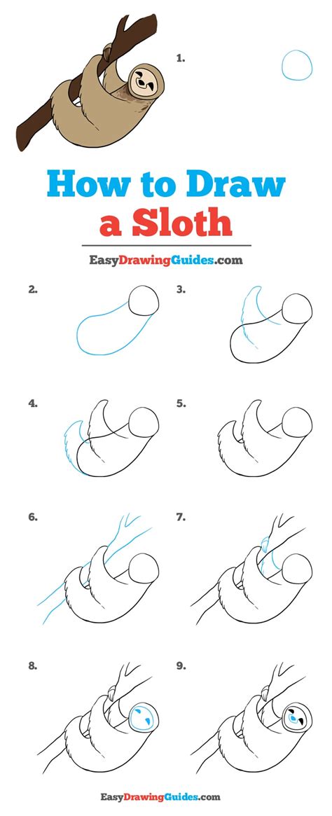 How to draw a groundhog the directed way? How to Draw a Sloth - Really Easy Drawing Tutorial