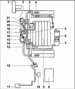 Audi A4 V6 Engine Vacuum Diagram