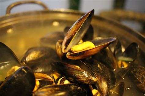 Mussels Are Rich In Iron Tasty And Good For You