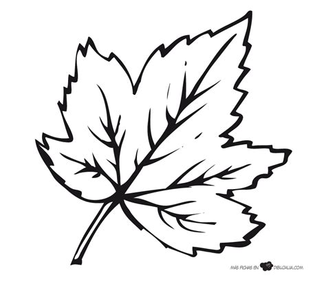 A Black And White Drawing Of A Leaf