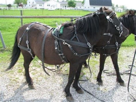 Single Horse Harness Set From Cottage Craft Works Com Yard Wagon