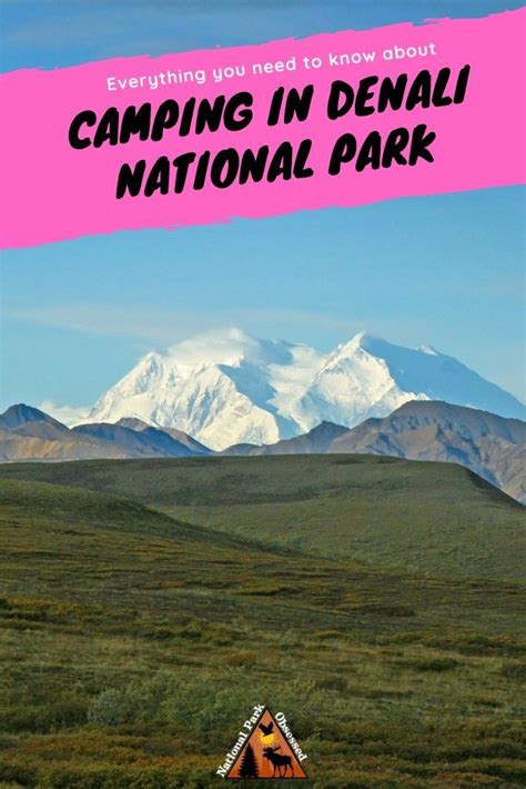 The Ultimate Guide To Camping In Denali National Park Denali National