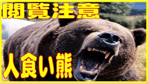 閲覧注意 日本の人食い熊が起こした人食い事件 Youtube